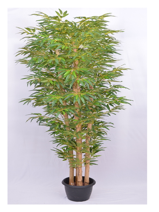 Artificial Bamboo Tree Natural Stick Golden Color Stick - 6 feet - CGASPL