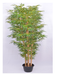 Artificial Bamboo Tree Natural Stick Golden Color Stick - 6 feet - CGASPL