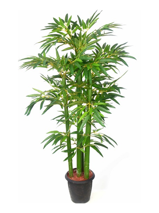 Bamboo Tree Natural Stick Green Color Stick -3 Feet - CGASPL