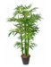 Bamboo Tree Natural Stick Green Color Stick -3 Feet - CGASPL