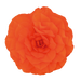 Begonia Tuberhybrida Nonstop Orange Flower Seeds - ChhajedGarden.com