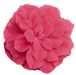 Begonia Tuberhybrida Nonstop Pink Flower Seeds - ChhajedGarden.com