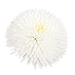 Bellis Tasso White Flower Seeds - ChhajedGarden.com