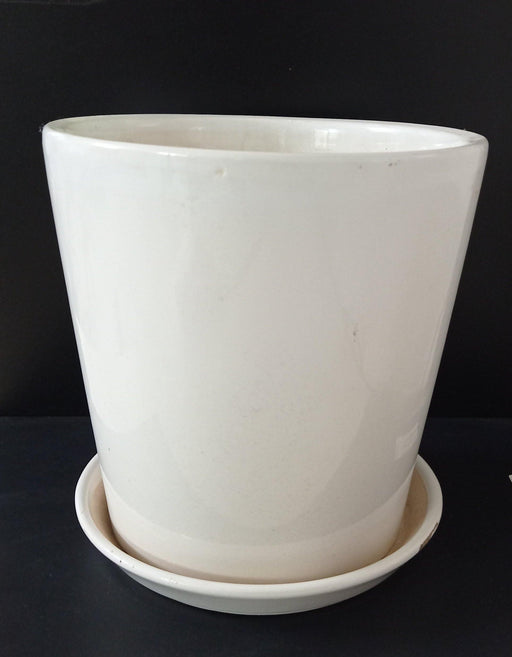 Big plain white ceramic pot for indoor plants