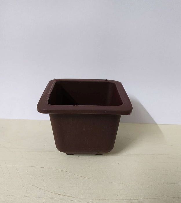 Bonzi Square Pot - 7 cm(Brown)