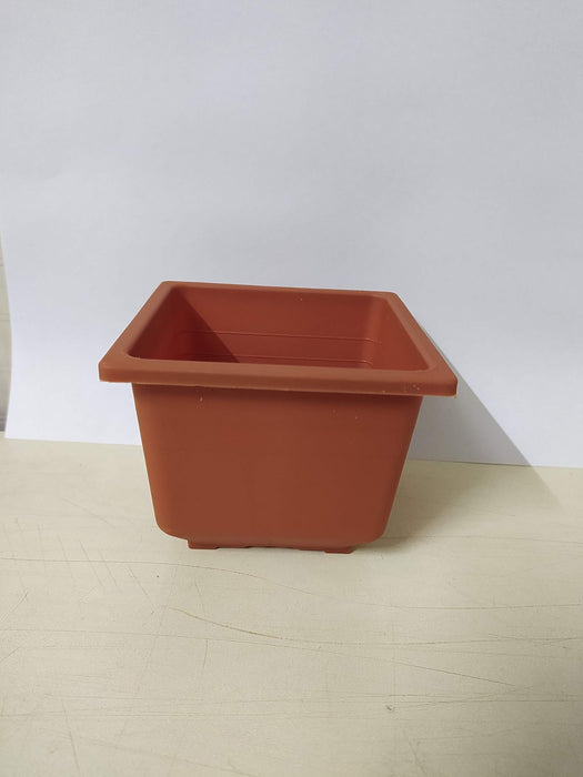 Bonzi Square Pot - 10 cm(Terracotta)