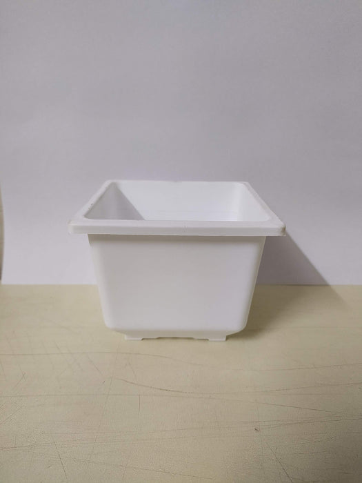 Bonzi Square Pot - 10 cm(White)