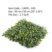 CAPPL-019 Artificial Ficus Vertical for Indoor & Outdoor Use - 50 cm * 50 cm (Pack of 3 Tiles ) - CGASPL