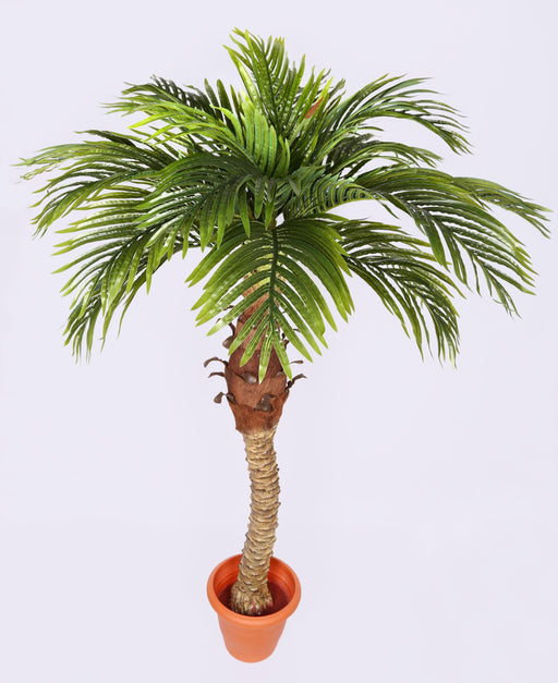 Artificial Coco Plam  Plant  - 4 Feet - CGASPL