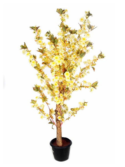 Artificial Cream Blossom Tree in Coffee Wood Stick - 6 feet - CGASPL