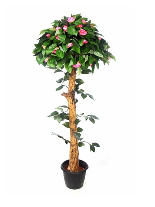Artificial Camelia Plant Topiery Natural Coffee Wood Stick Pink - 4 Feet - CGASPL