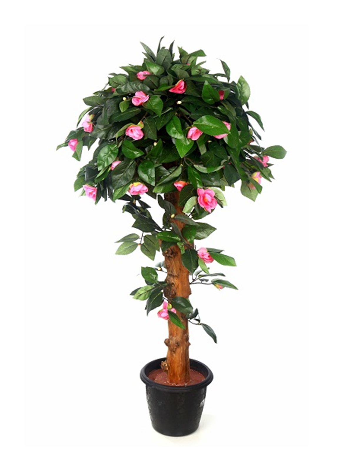 Buy Artificial Camellia Plant N.S Plant Online in India – ChhajedGarden.com