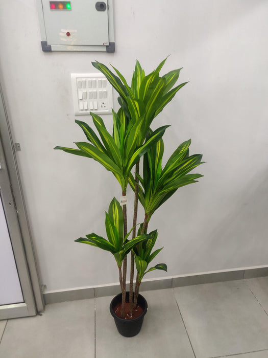 Artificial Dracena Plant Yellow - 6 feet - CGASPL