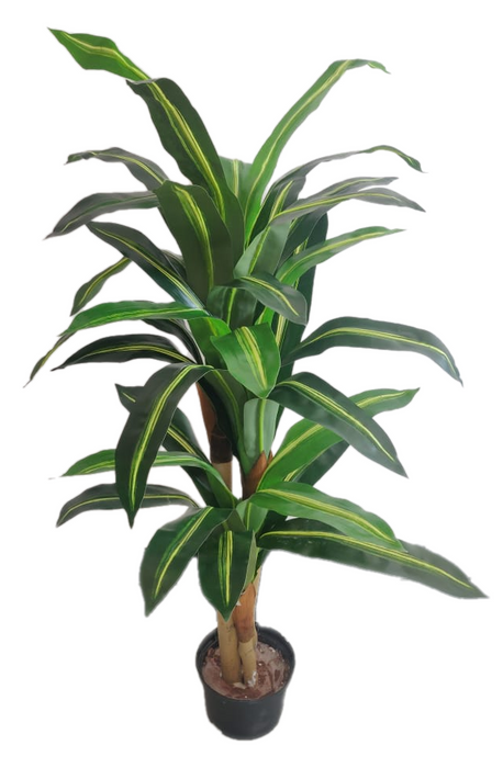 Artificial Varigated Dracena Plant Eco 3 in one - 4 feet - CGASPL
