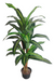 Artificial Varigated Dracena Plant Eco 3 in one - 4 feet - CGASPL
