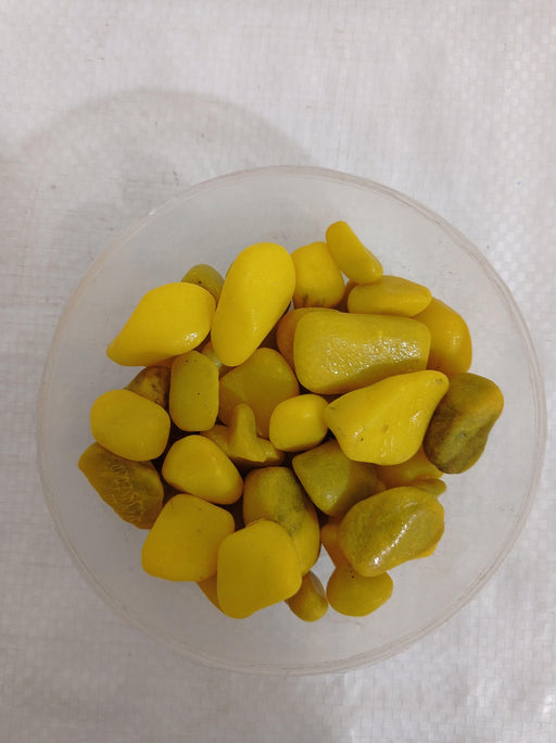 Decorative Small Pebble Stone Light Yellow Colour - ChhajedGarden.com