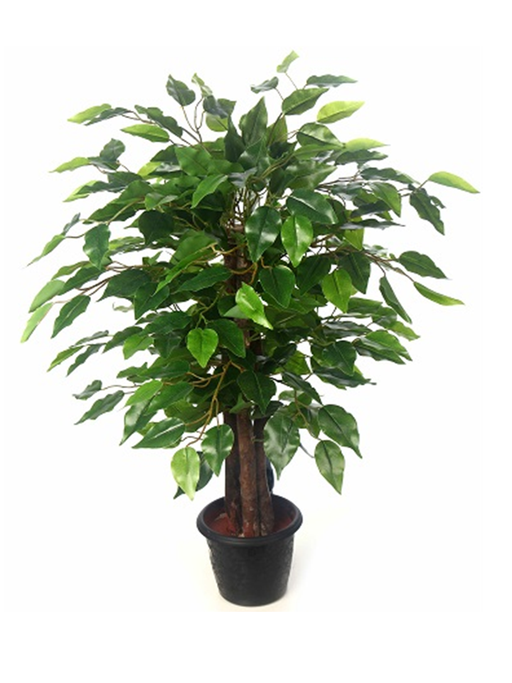 Artificial Ficus Plant Real Touch  - 2 feet - CGASPL