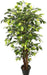 Artificial Ficus  Plant Natural Stick - 6 Feet - CGASPL