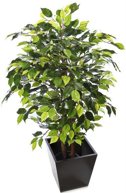Artificial Ficus Plant Green Plant -3 Feet - CGASPL