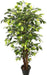 Artificial Ficus  Plant Natural Stick -4 Feet - CGASPL
