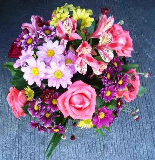 Gloxinia Gt Multiflora Mix ( Pack of 25) Flower Bulbs - CGASPL