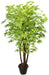 Artificial Maple Plant Green with Natural Stick - 6 feet - CGASPL