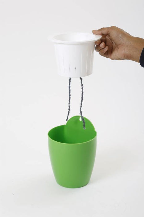 Green-White Self Watering Hanging Planter Flower Pot - CGASPL