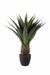 Artificial Sisal Cactai in Pot , Height -3 ft - CGASPL