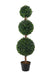 3-Layer Boxwood Plant 