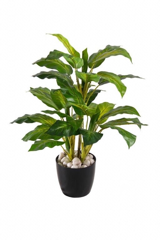 5 Real Touch Green Diffen Plant 4605 - CGASPL