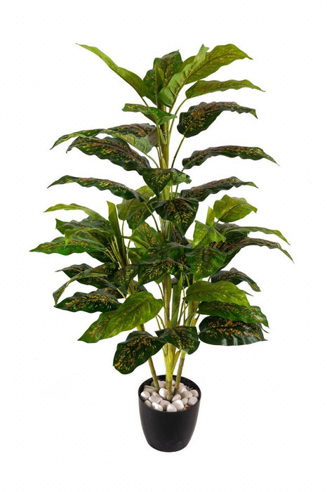 5 Real Touch Aglaonema Plant 4604 - CGASPL