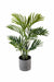 Artificial Golden Palm Plant in Pot , Height -2 ft ( Pack of 6 Plants) - CGASPL