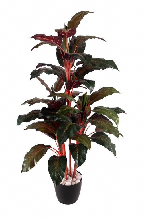 5 Real Touch Red Diffen Plant 4603 - CGASPL
