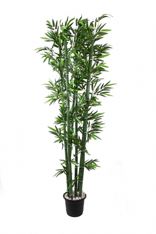 Artificial Forest Green Bamboo Plant ( Without Pot ) , Height -7 ft ( Set of 6 Bamboo Shoots) - CGASPL