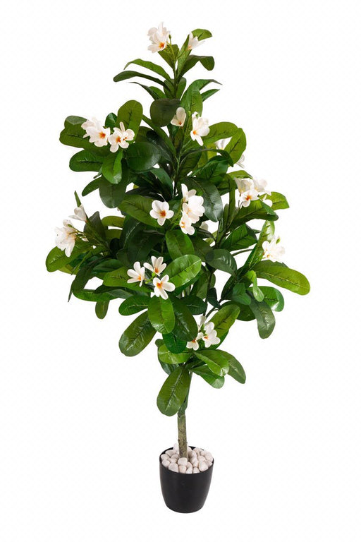 Artificial Real Touch Frangipani Plant ( Without Pot ) , Height -5.5 ft - CGASPL