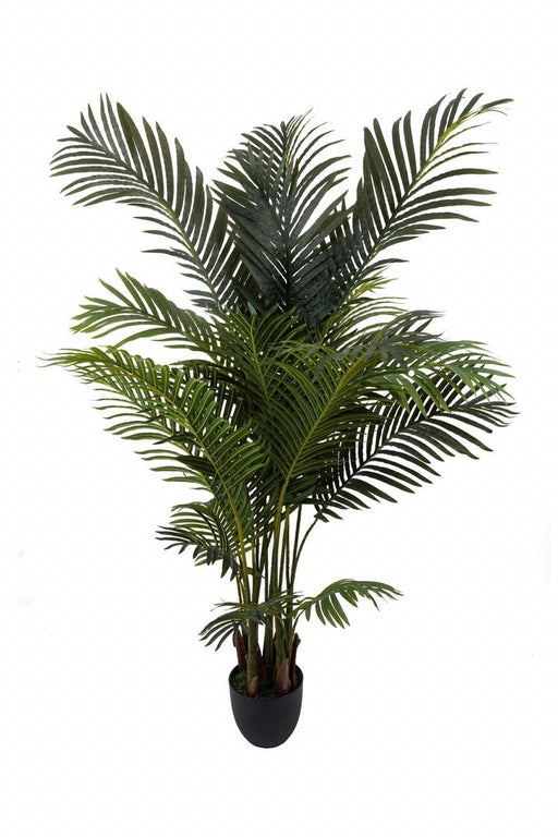 Artificial Real Touch Areca Palm in Pot , Height -5.5 ft - CGASPL