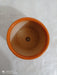 Vibrant Orange Ceramic Pot