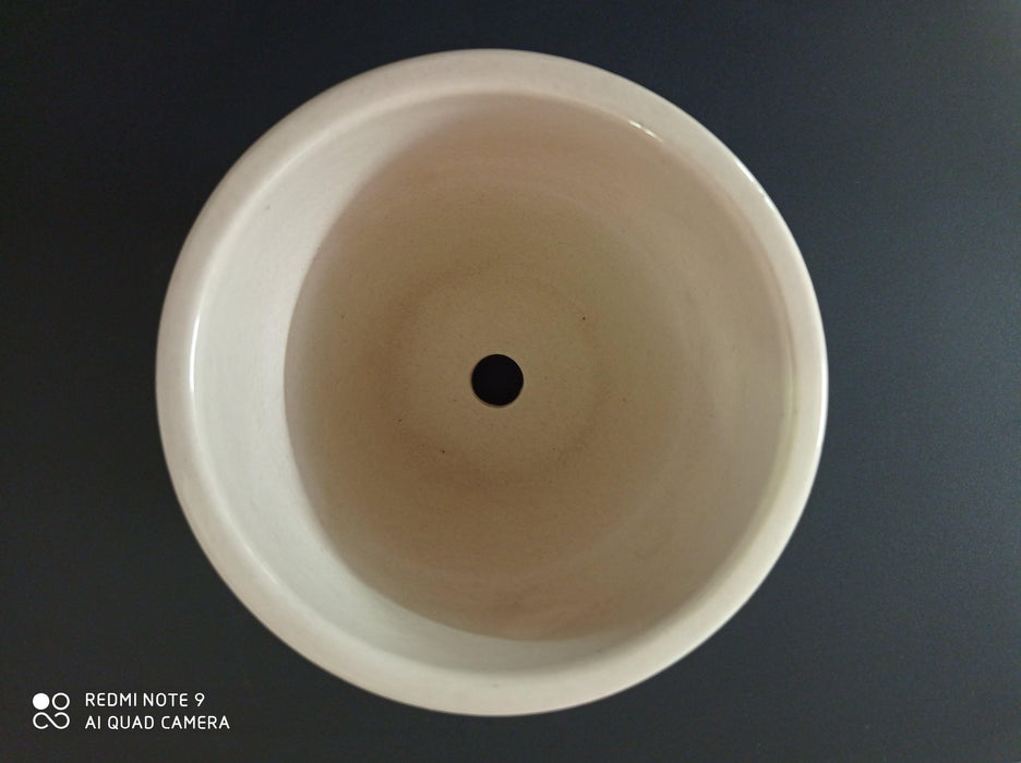 Premium ceramic pot for long-lasting beauty