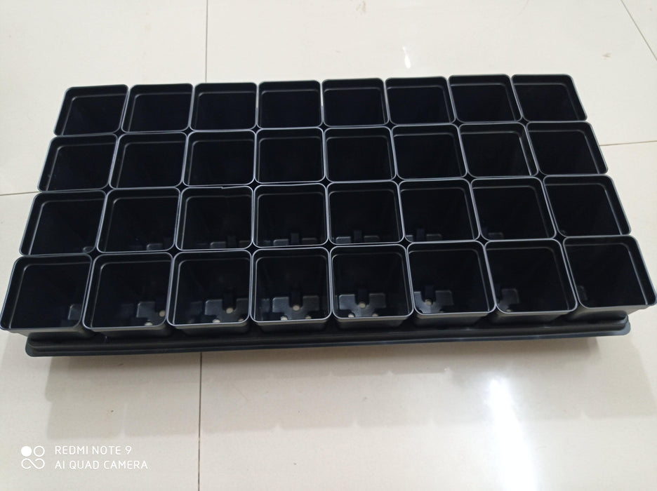 Easy Grow 32 Cavity Tray With Pot - CGASPL