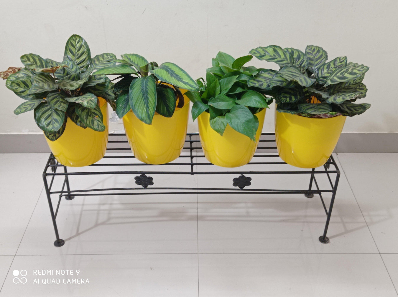 Hortizontal Wrought Iron Pot Stands