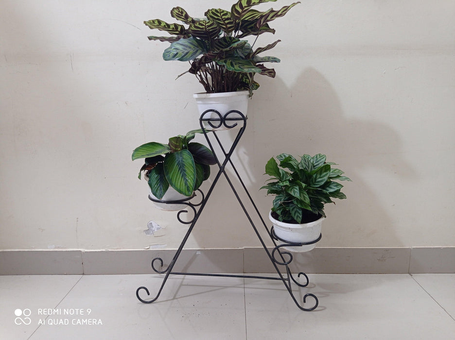Wrought iron Flower 3 Pot Stand - CGASPL
