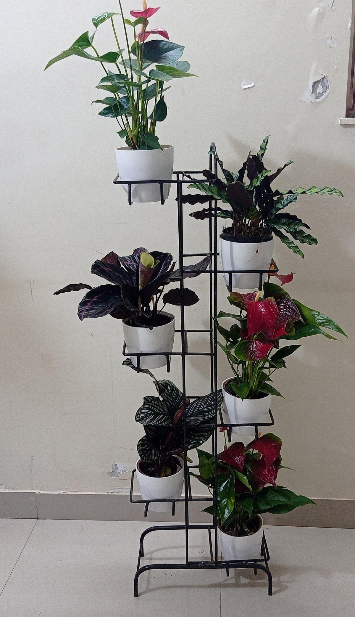 6 Pot Rack Stand (Round) – ChhajedGarden.com