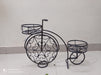 Bicycle Shape Stand - CGASPL