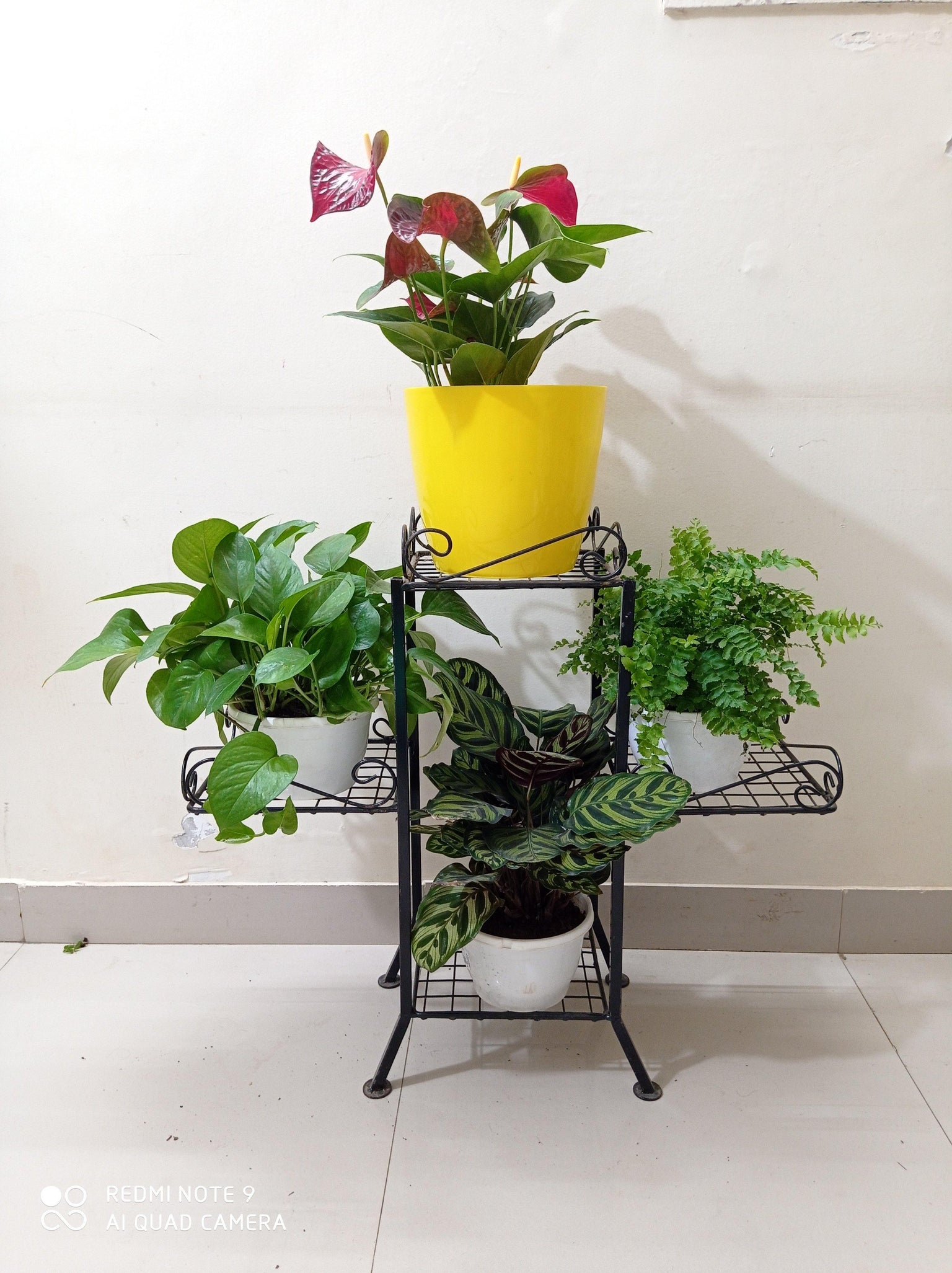 Pot Plant Stands HighQuality Wrought Iron Designs ChhajedGarden