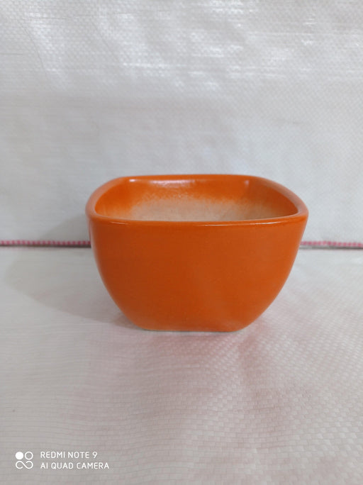 Orange ceramic plant pots