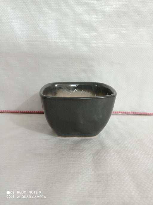 Modern grey ceramic plant pots without tray