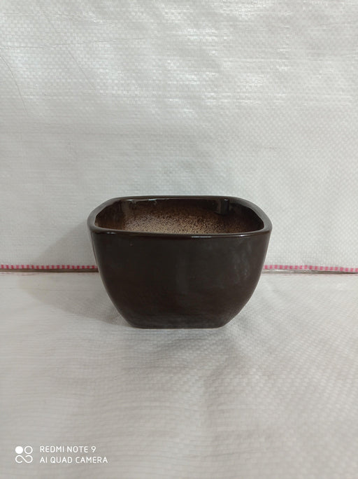 Ceramic plant pots in coffee color