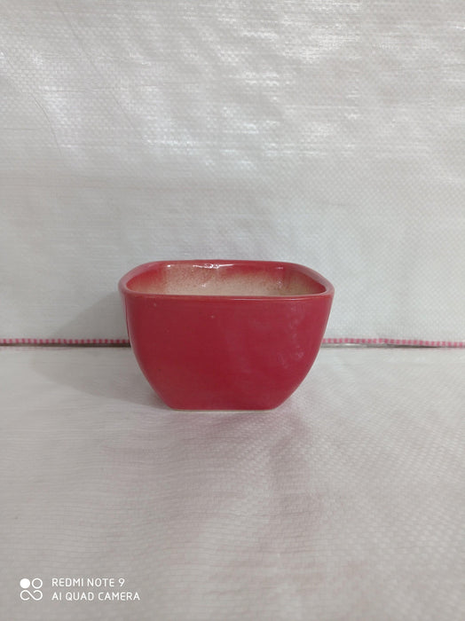 Red square ceramic plant pot