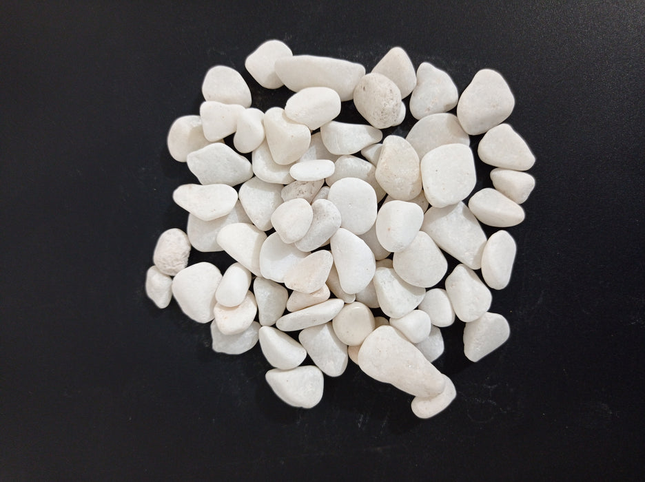 White Pebbles 10-15mm - ChhajedGarden.com