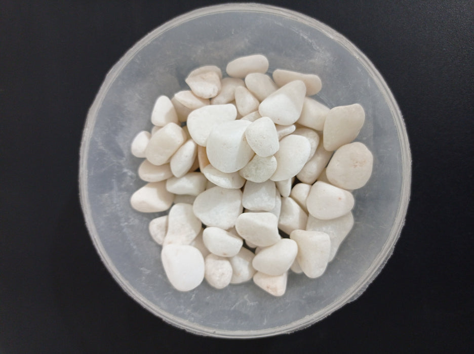 White Pebbles 10-15mm - ChhajedGarden.com